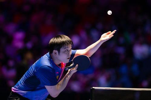 林诗栋惜败樊振东，输在哪？深度解析这场焦点战背后的关键点