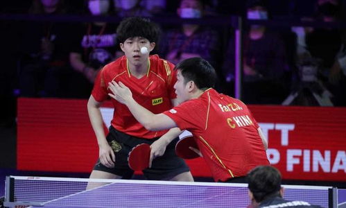 王楚钦与许昕樊振东三人互动合照