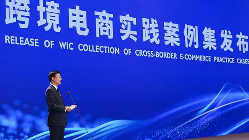 世界互联网大会发布的案例展示图