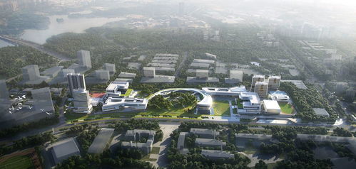 大湾区大学校园实景图