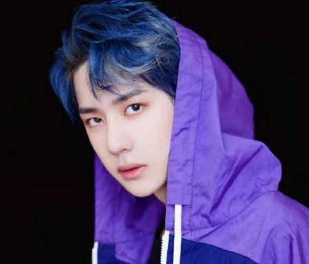 鹿晗在舞台上的经典造型