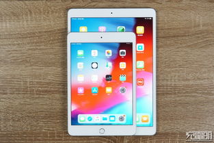 iPad mini 5 用户正在使用台前调度进行多任务操作