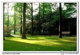 北京大学校园一角