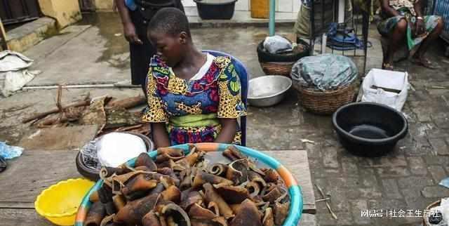 中非贸易破2万亿！普通人如何抓住这场时代红利？