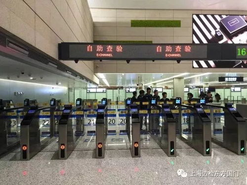 网红在机场准备出境场景