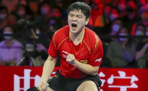 樊振东赛场奋力击球