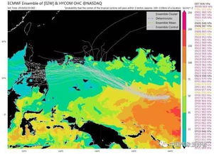 今年第1号台风“蝴蝶”来了！网友：这名字太温柔了吧？