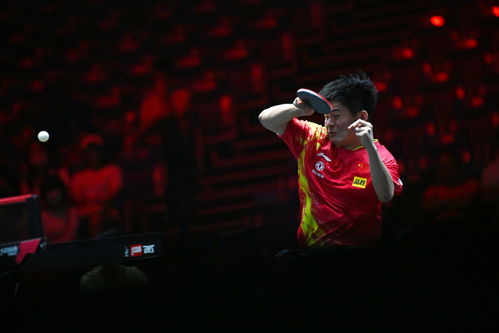 林诗栋比赛中专注回球