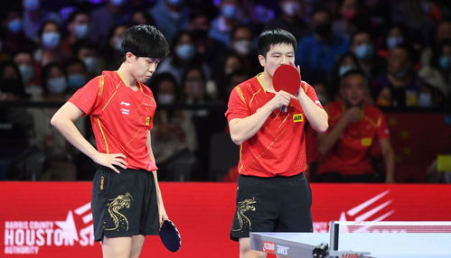 王楚钦与樊振东在比赛中对视