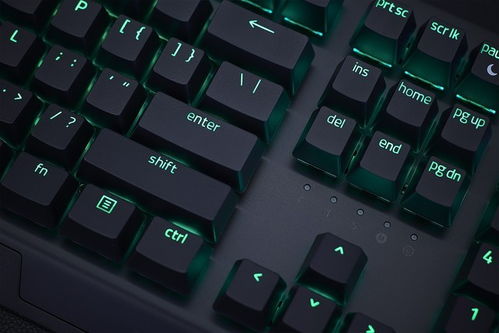 雷蛇黑寡妇蜘蛛V3专业版开箱图