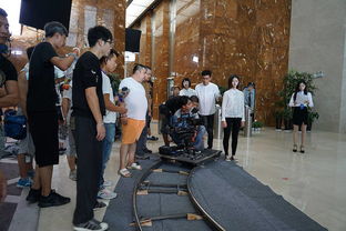 风月不相关停拍背后真相曝光，网友炸锅！