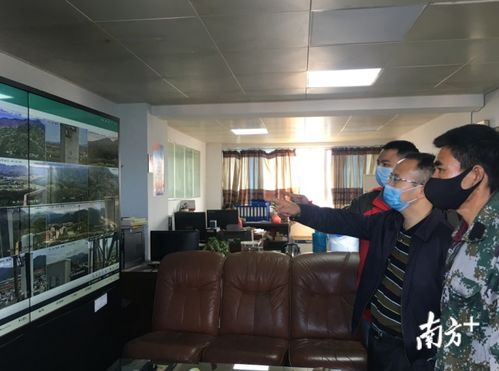 文旅局查看监控