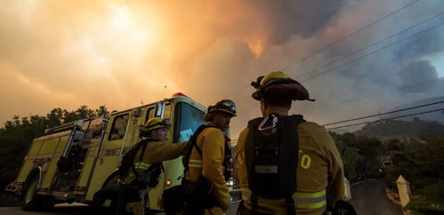 特朗普称洛杉矶可能烧成灰烬，背后真相竟让全美哗然？