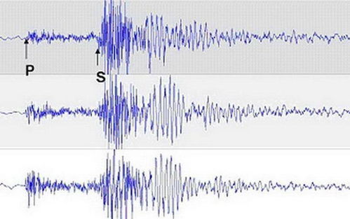 地震波纹扩散示意图