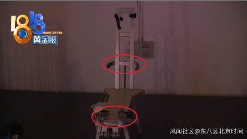 手工耿展示赛博养鱼装置细节