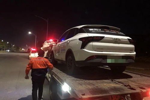 新势力加速下乡，蔚来、小鹏、理想加入，终将干掉“老头乐”？