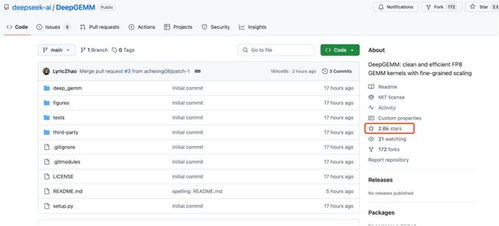 开发者使用DeepSeek-R1进行编程的界面截图