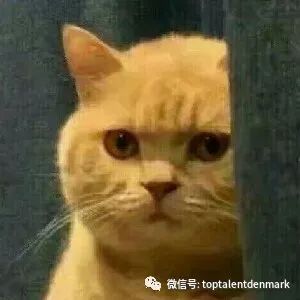 高考后我决定和老师大闹一场：一场青春的释放还是冲动的代价？