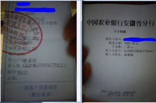 银行柜员拿放大镜办业务被吐槽效率低，网友热议背后真相竟如此真实？