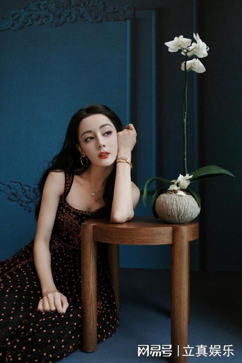 迪丽热巴舞台照与粉丝互动现场