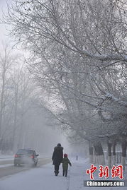 呼伦贝尔暴风雪天气实景