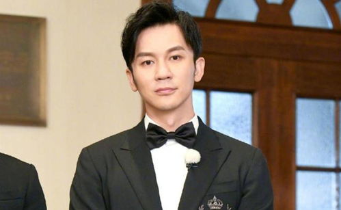 李晨晒哥斯拉LABUBU引热议，潮玩风暴席卷娱乐圈