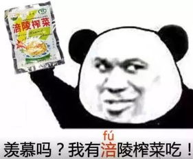 台网红“馆长”直播被投喂茶叶蛋榨菜，网友笑疯：这也太接地气了！