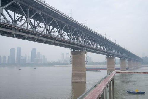 世界著名大桥对比图示例