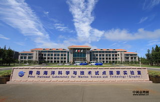 青岛海洋科研实验室中的智能机器人操作场景