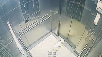 电梯厅监控设备