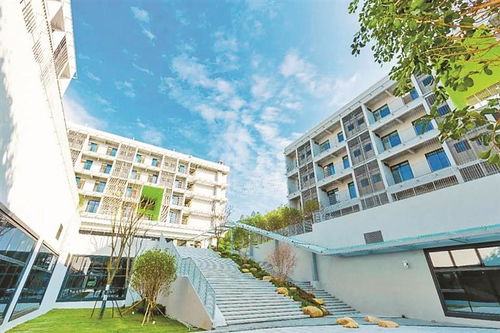 高考季诈骗频发！深理工严正辟谣“内部指标可降分录取”，多地考生收到“作弊记0分”短信