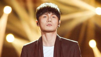 李荣浩石家庄演唱会海报