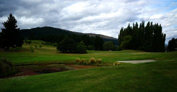 新西兰田园风光