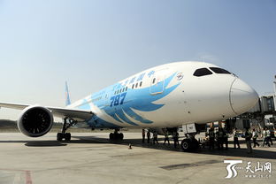 波音787客机外观