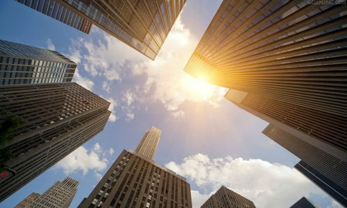 社交媒体网友评论截图