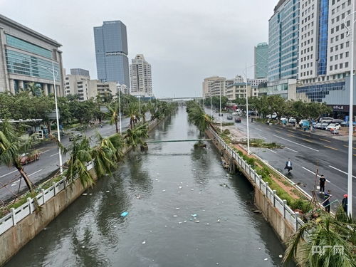 台风过后街道满目疮痍