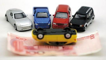 车主认真阅读车险条款