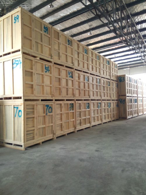 震惊！日本竟然投放12万吨2021年陈米？背后真相让人深思