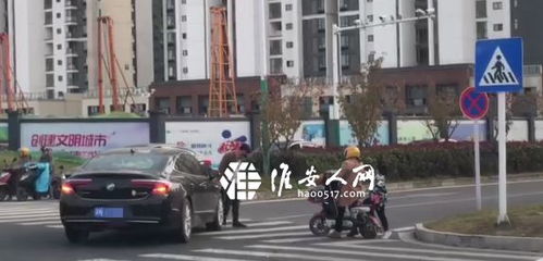 台网红“馆长”怒批绿媒：被你们骗得好苦，真相曝光引岛内热议