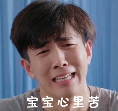 网友制作的韦神表情包合集