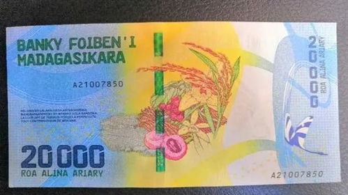 马达加斯加货币上的杂交水稻图案