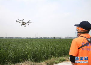 刘强东又杀入新战场：这次他盯上了AI与农业的结合