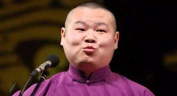 岳云鹏粉丝在社交平台表达购票心情的截图