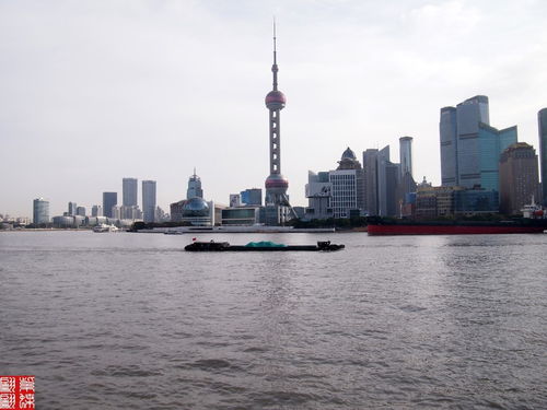 馆长在黄浦江边拍摄夜景