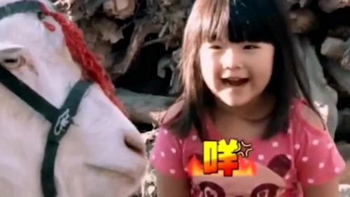 黄子韬清晨给小羊洗澡