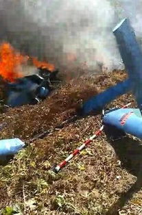 目击者拍摄的飞机坠毁瞬间视频截图