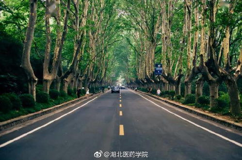 江苏超会玩！抖音上的宝藏省份，原来还能这么有趣？