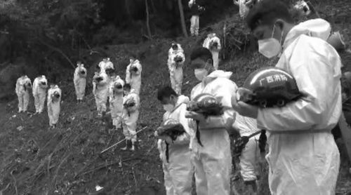 家属手持遇难者照片哀悼