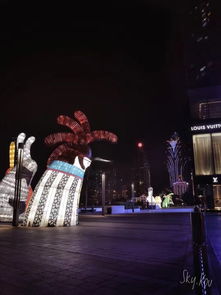 澳门夜景与赌场建筑群