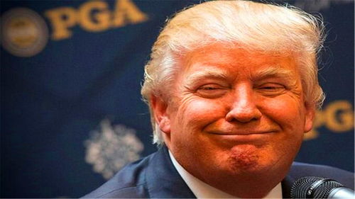 网友在微博上讨论特朗普与马斯克事件